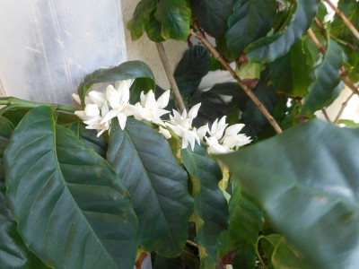 DSCN0889